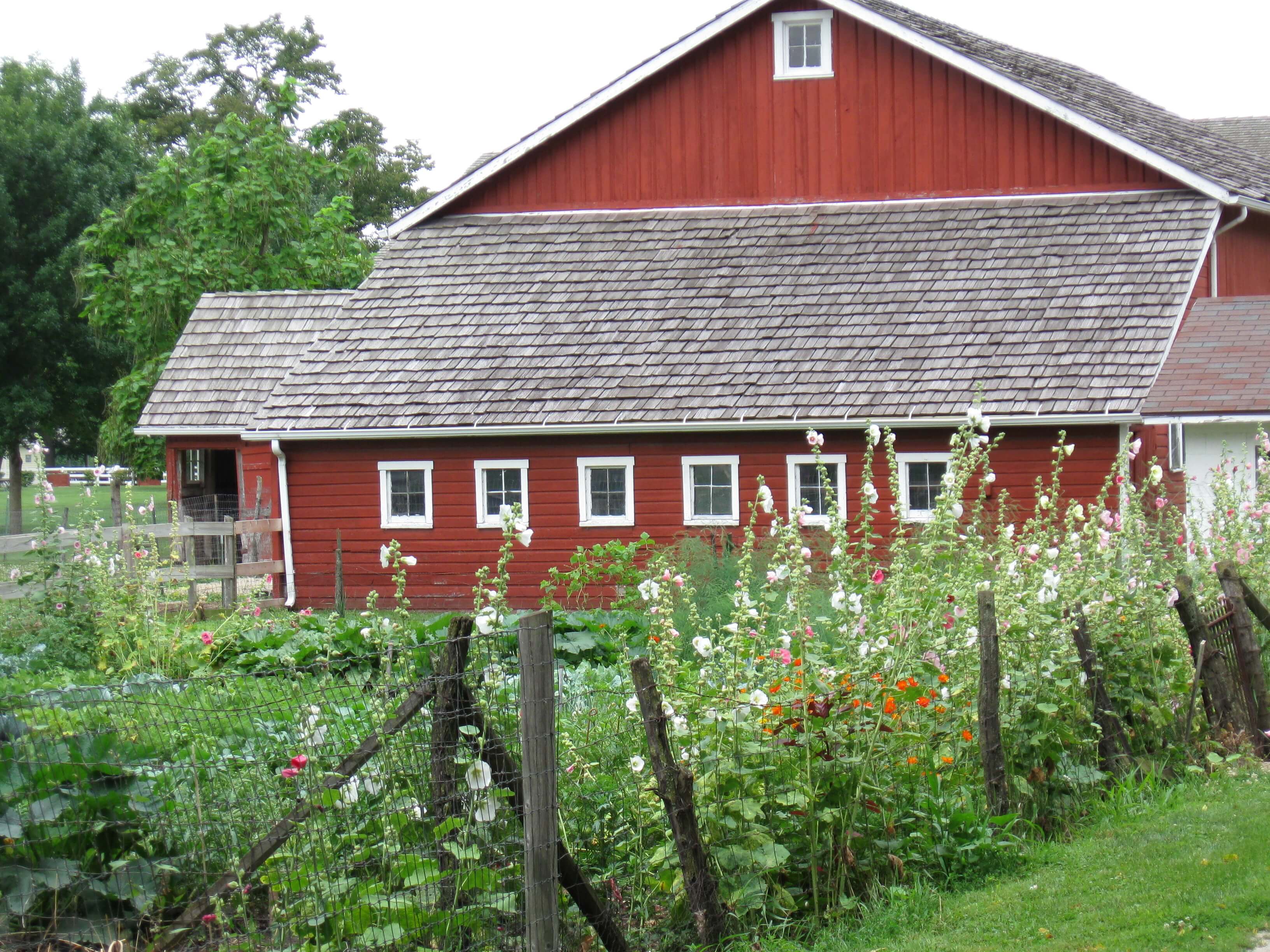 barn with flowers
