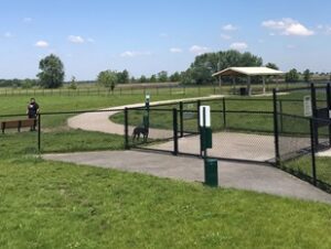 Dog Park