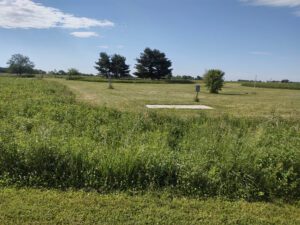 Willowhaven park disc golf course