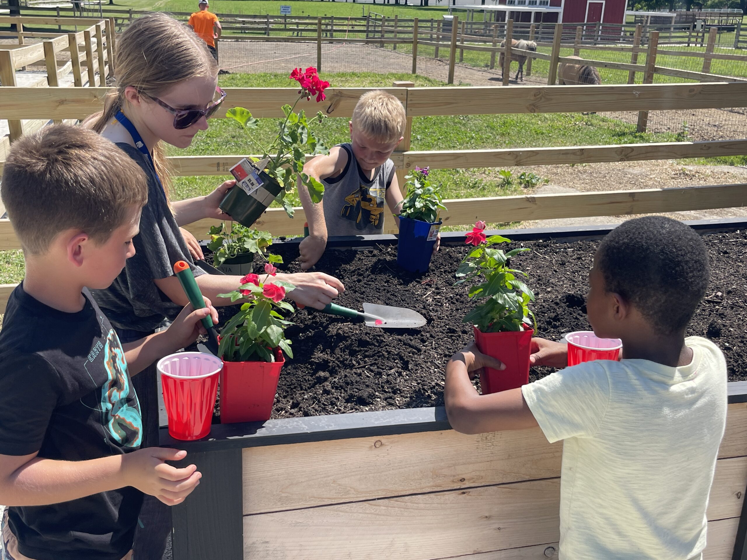 Planting Flowers