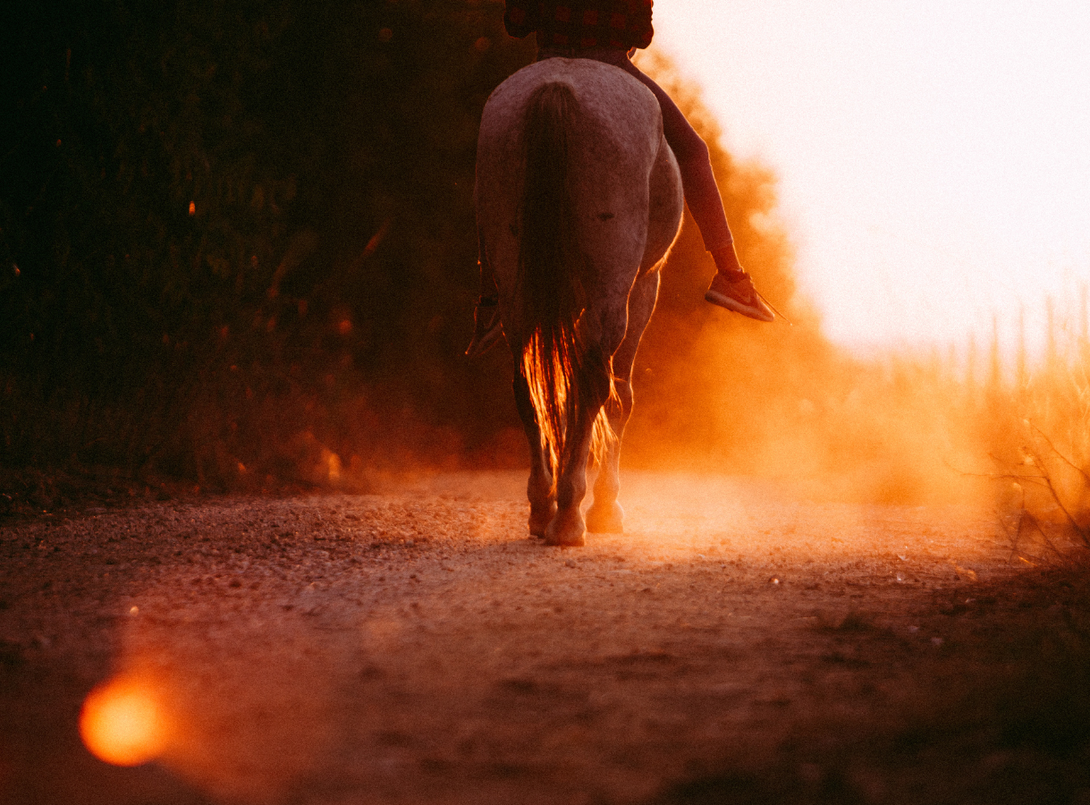 A horse and rider walk away down a dusty path into the warm glow of a sunset.