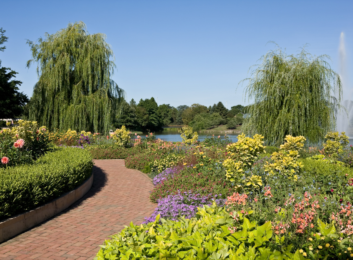 A scenic garden with a winding brick path, colorful flower beds, two large weeping willow trees, and a lake with a fountain in the background under a clear blue sky.