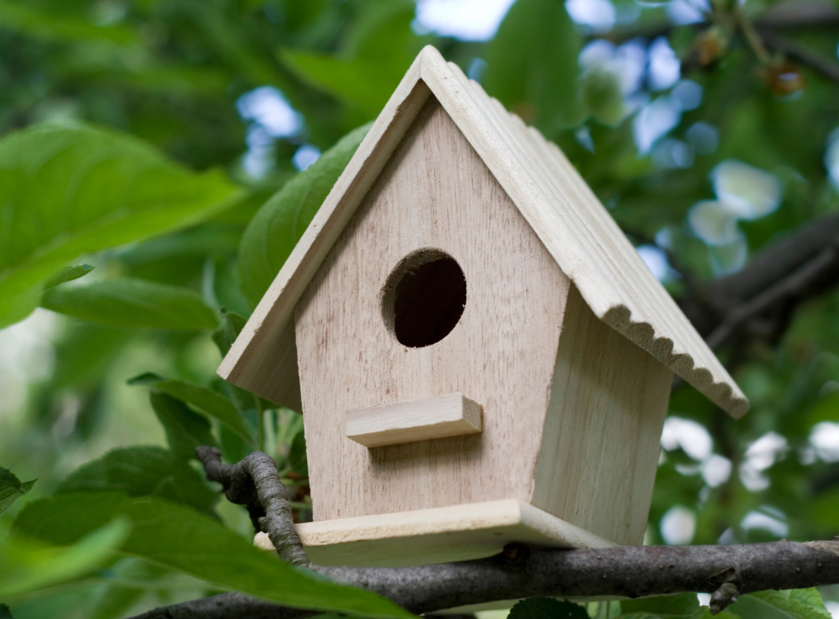 A close-up shot of a small, unpainted wooden birdhouse with a pointed roof and a circular entrance hole, perched on a tree branch. It is surrounded by lush green foliage and blurred branches in the background.