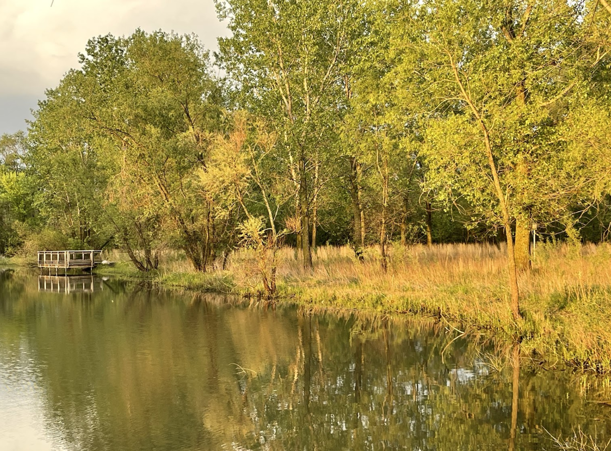 A tranquil pond with trees lining the far bank, some illuminated by golden sunlight, and a small wooden dock visible on the left.