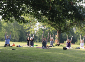 A group of approximately eight people are sitting on yoga mats on a grassy lawn with their arms extended upwards in a yoga pose. They are spaced out under the shade of a large tree with lush green foliage. In the background, more trees and greenery are visible, creating a peaceful outdoor setting. Some personal items like water bottles and a pumpkin are scattered near the participants.