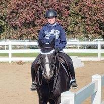 Horse Back Lessons