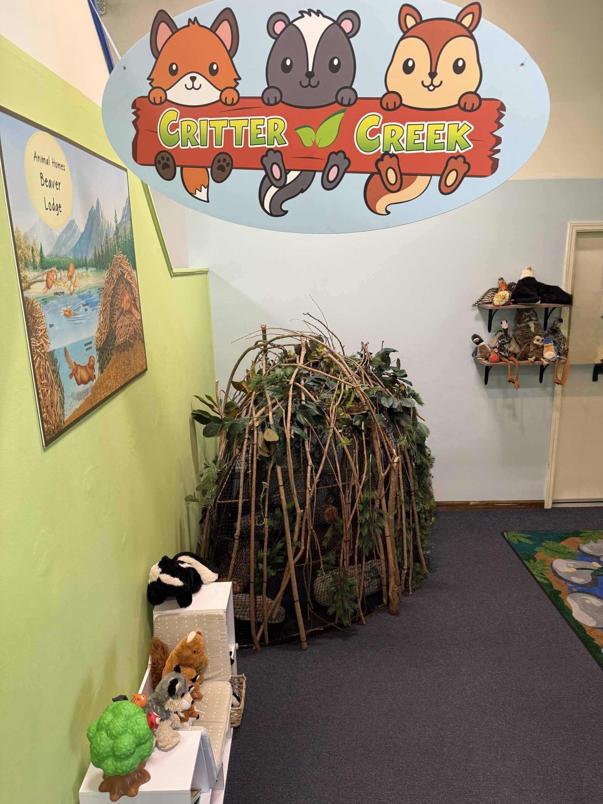Critter Creek Temporary Exhibit