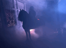 A Night in Sleepy Hollow